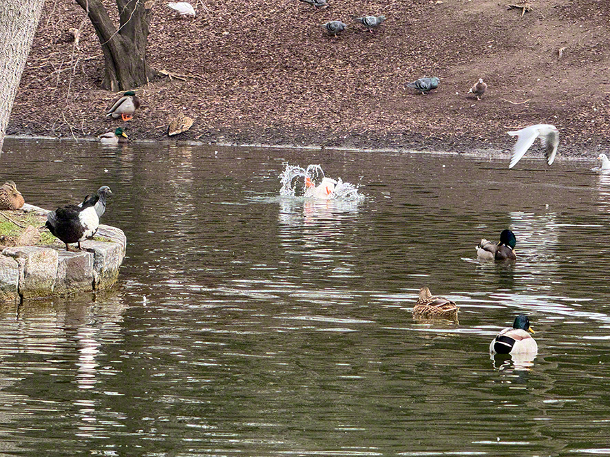 Stadtpark
