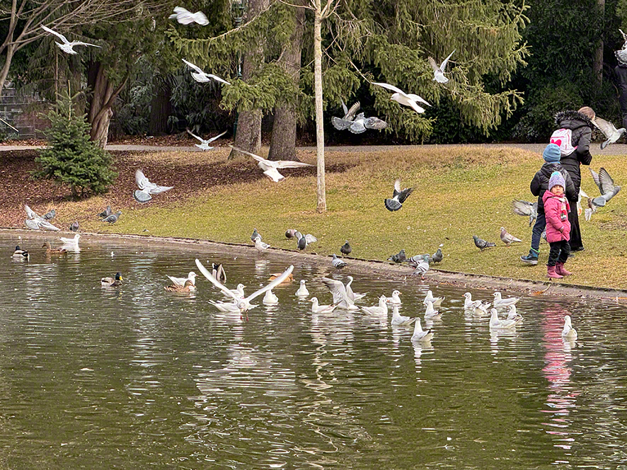 Stadtpark
