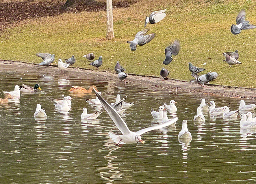 Stadtpark
